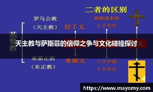 中欧体育