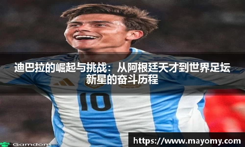 中欧体育